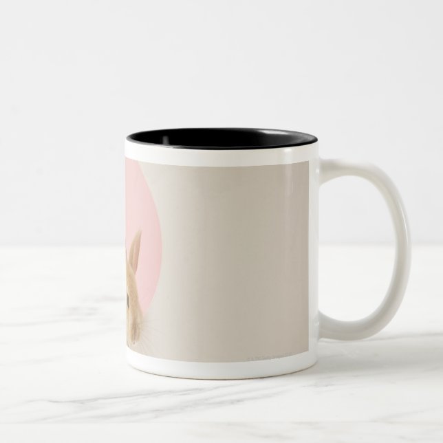 Oryctolagus cuniculus 3 Two-Tone coffee mug (Right)