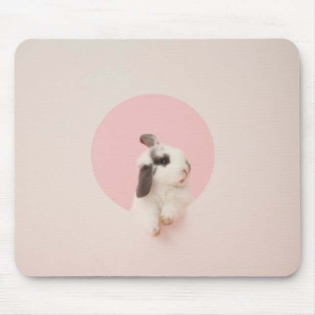 Oryctolagus cuniculus mouse pad (Front)