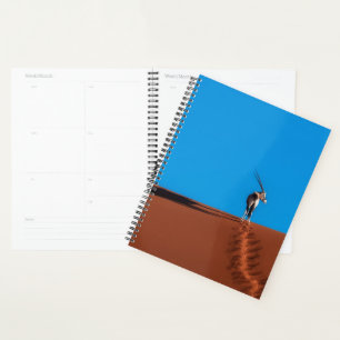 Oryx Antelope at the Namib Desert Planner