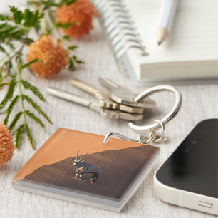 Oryx on the edge, Namibia Key Ring