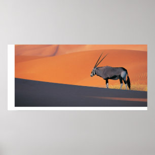 Oryx Poster