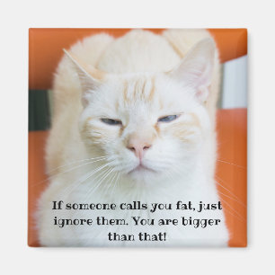 Oscar the Insulting Funny Cat Magnet