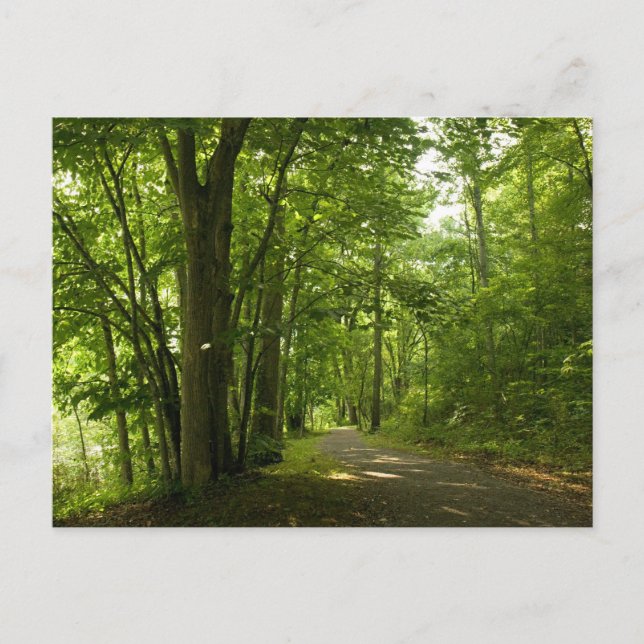 Osceloa Island Weir Dam Bristol Tennessee Postcard (Front)