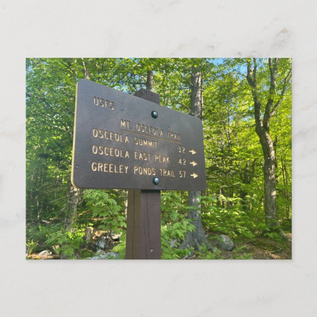 Osceola and East Osceola Postcard (Front)