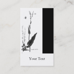 Oseille des Prés Business Card