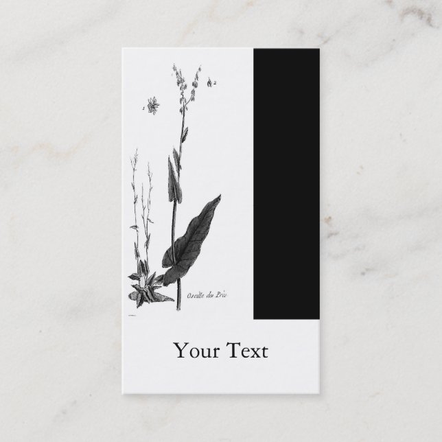 Oseille des Prés Business Card (Front)