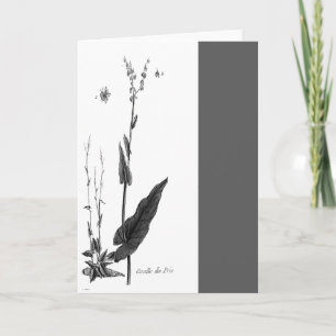Oseille des Prés Card
