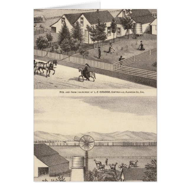 Osgood, Cameron residences, farms (Front)