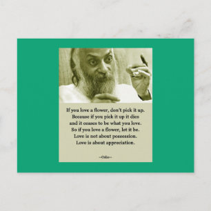 Osho Postcard