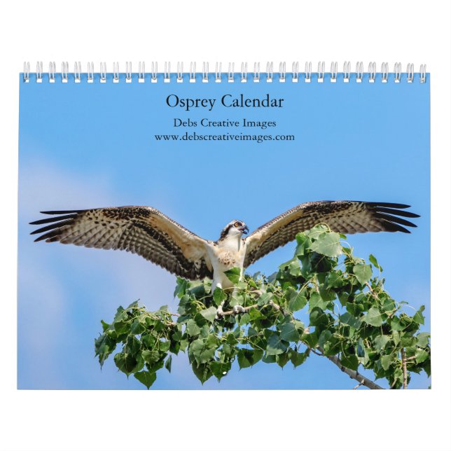 Osprey 2026 calendar (Cover)