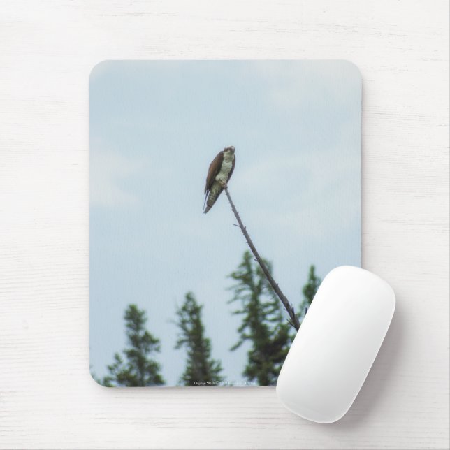 Osprey 9028 mouse pad (With Mouse)