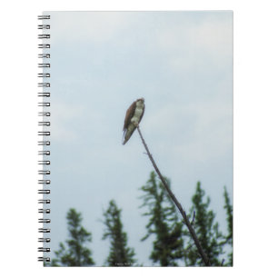 Osprey 9028 notebook