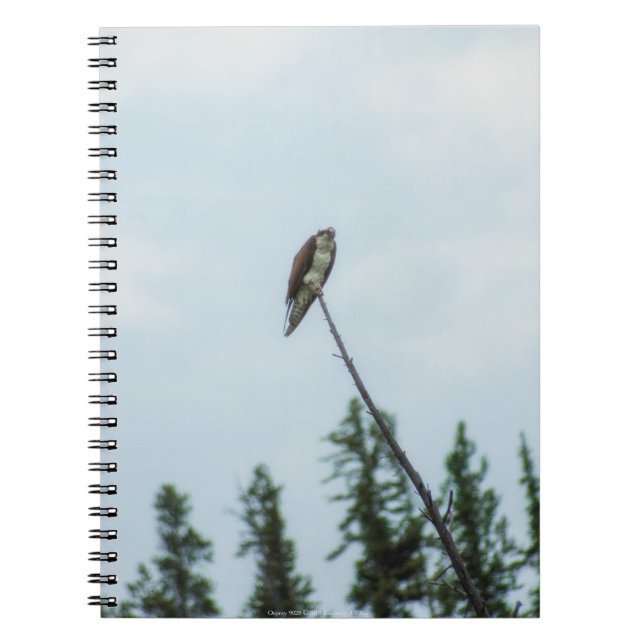 Osprey 9028 notebook (Front)