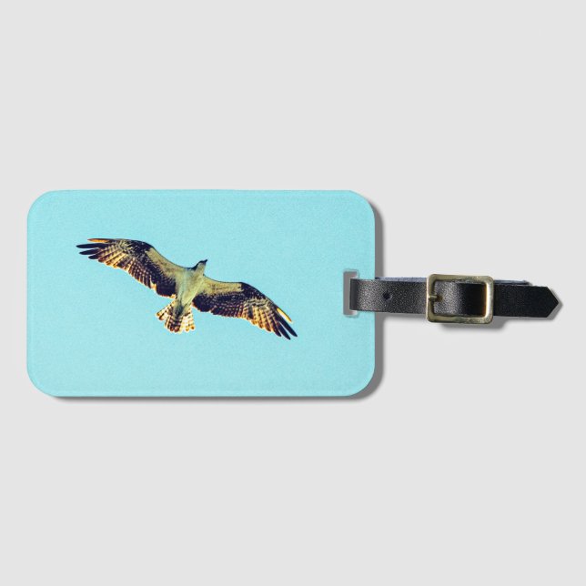 Osprey art luggage tag (Front Horizontal)