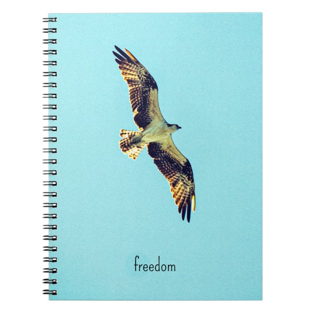 Osprey art notebook (Front)