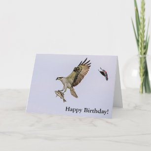 Osprey being chased by a red winged blackbird card