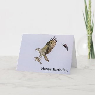 Osprey being chased by a red winged blackbird card