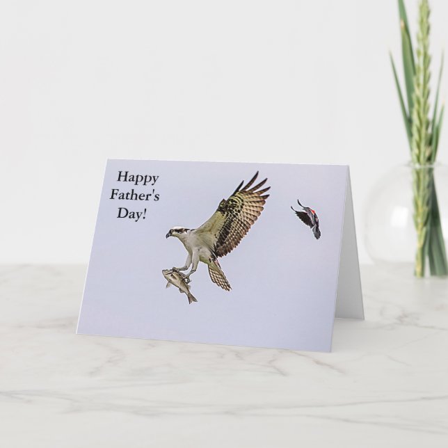 Osprey being chased by a red winged blackbird card (Front)
