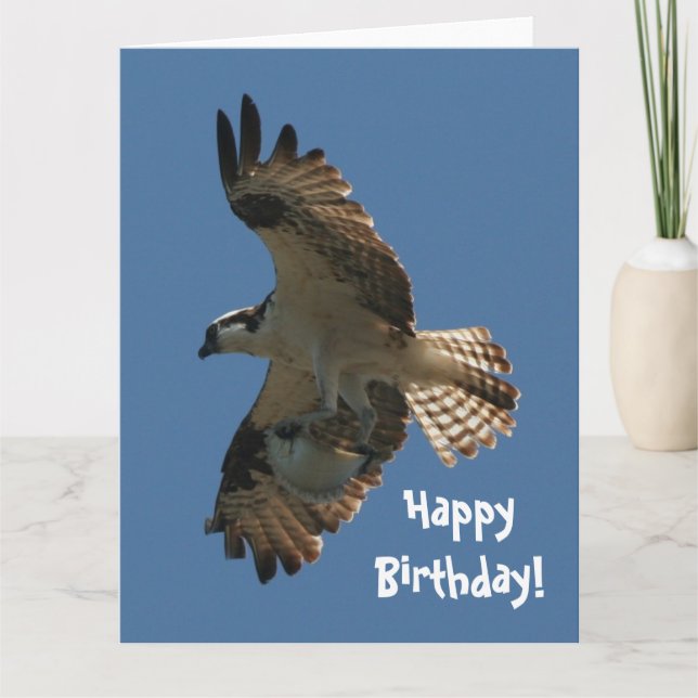 Osprey Bird & Fish Birthday Greeting Card (Front)