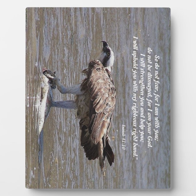 Osprey Bird Fish Wildlife Isaiah Photo Plaque (Front)