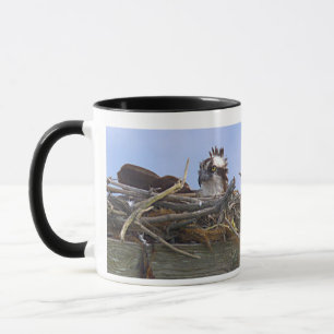 Osprey Bird Photo Mug