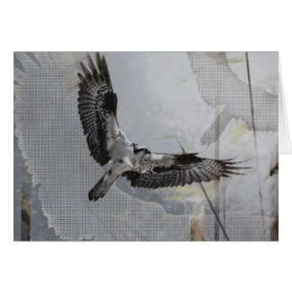 Osprey Blank Card by Andrew Denman