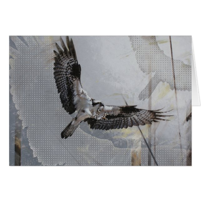 Osprey Blank Card by Andrew Denman (Front Horizontal)