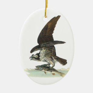 Osprey by Audubon Ceramic Tree Decoration