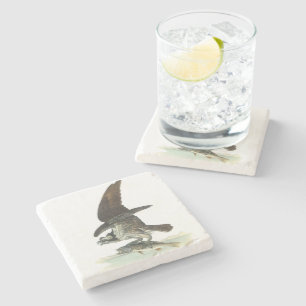Osprey by Audubon Stone Coaster