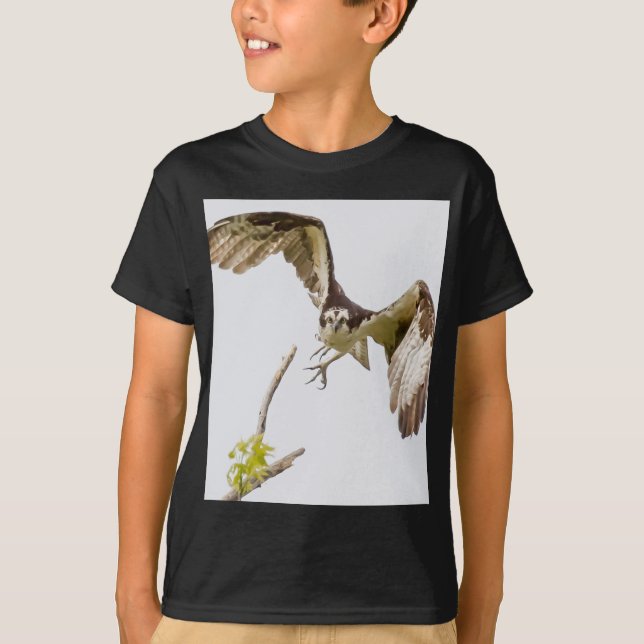 Osprey Coming At You T-Shirt (Front)