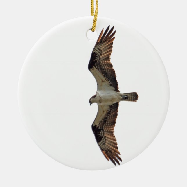 Osprey Flying Photo Ceramic Tree Decoration (Front)