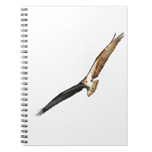 Osprey Flying Spiral Notebook