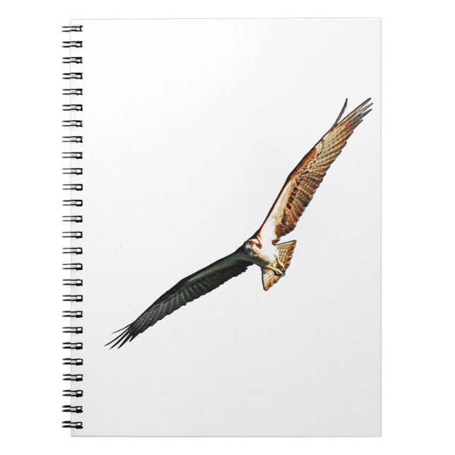 Osprey Flying Spiral Notebook (Front)