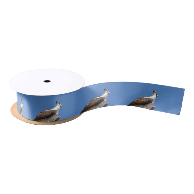 Osprey Hawk bird Ribbon Spool Satin Ribbon (Spool)