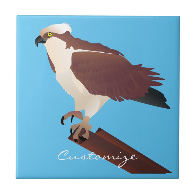 Osprey Hawk Raptor Thunder_Cove Tile (Front)