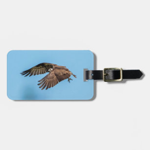 Osprey in flight at Honeymoon Island State Park Luggage Tag