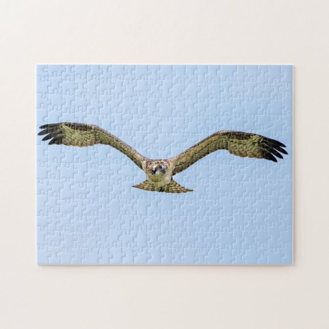 Osprey in flight jigsaw puzzle (Horizontal)