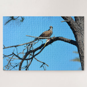 Osprey in the wild jigsaw puzzle