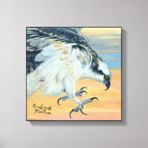 “Osprey Landing” Canvas Print