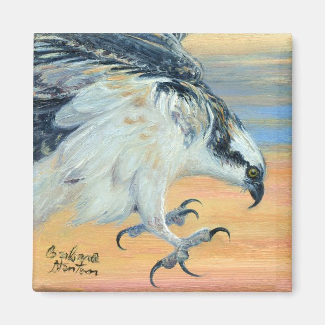 “Osprey Landing” Magnet (Front)