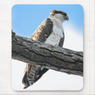 Osprey Mouse Pad