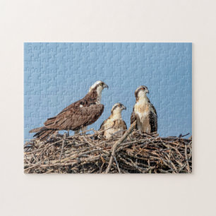 Osprey mum with her kids jigsaw puzzle