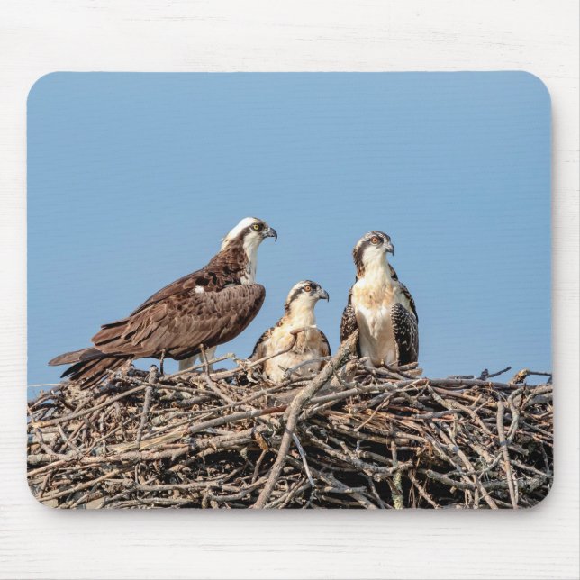 Osprey mum with her kids mouse pad (Front)