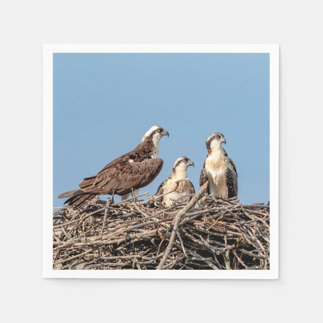 Osprey mum with her kids napkin (Front)