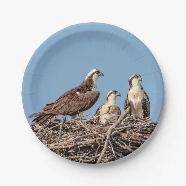 Osprey mum with her kids paper plate (Front)