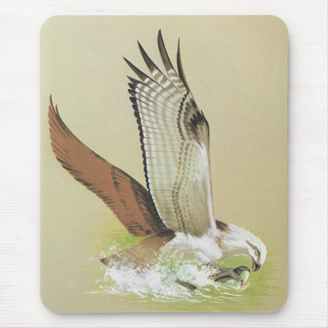 Osprey - Pandion haliaetus Mouse Pad (Front)