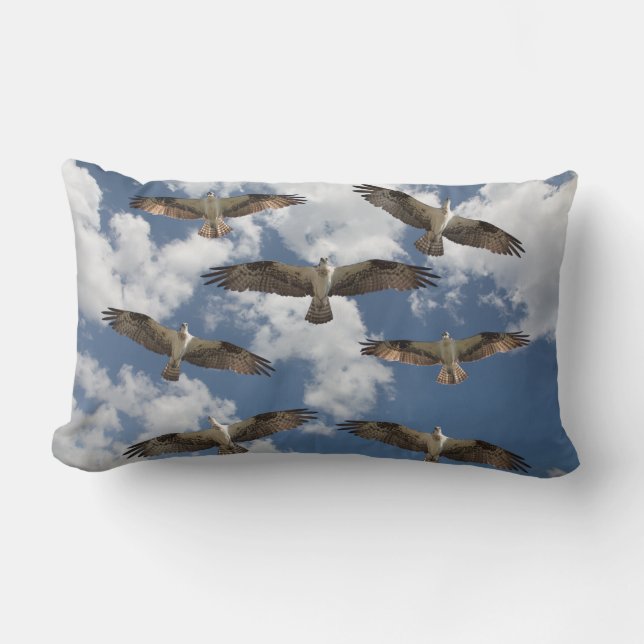 Osprey parade in the sky lumbar cushion (Front)