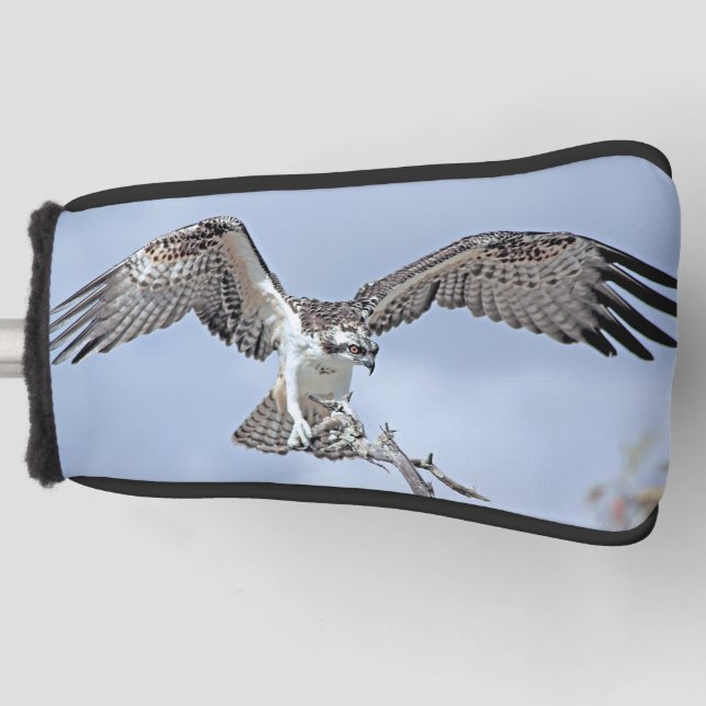 Osprey Putter Cover (Front)