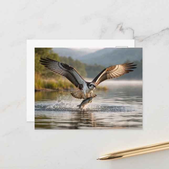 Osprey Scottish Highlands Misty Sunrise Fishing Postcard (Front/Back In Situ)