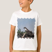 Osprey Sitting on Nest Youth T-Shirt